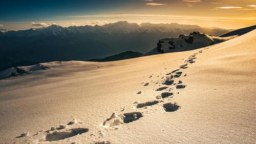 Marek Piwnicki / pexels.com